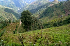 Beautiful Valley at Pati bhanjyang