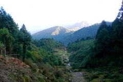 Trail to tharepati