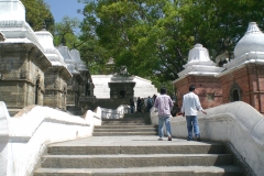 Pashupati Temple Area
